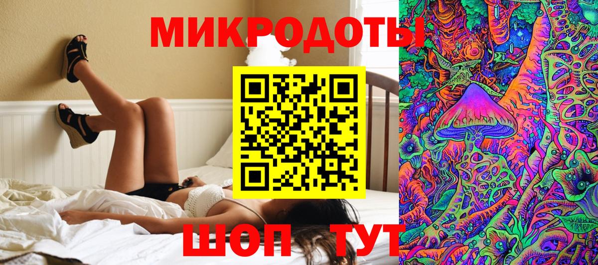 Клин  Псилоцибиновые грибы Cubensis  Вход с VPN  Псилоцибиновые грибы GOLDEN TEACHER 